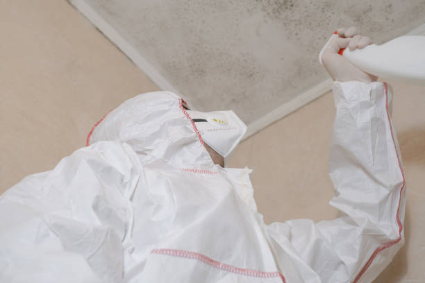 Home Mold Removal in Pleasant Hills, OH